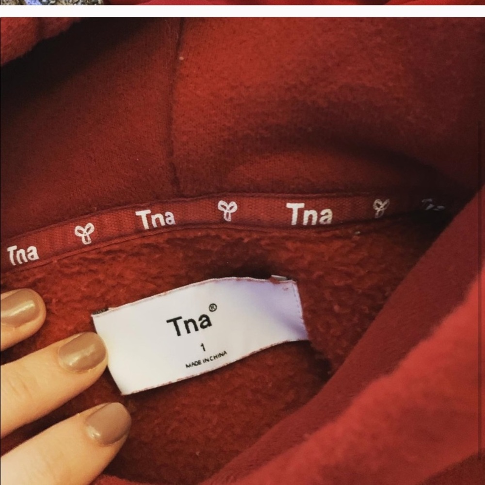 Aritzia boyfriend hoodie